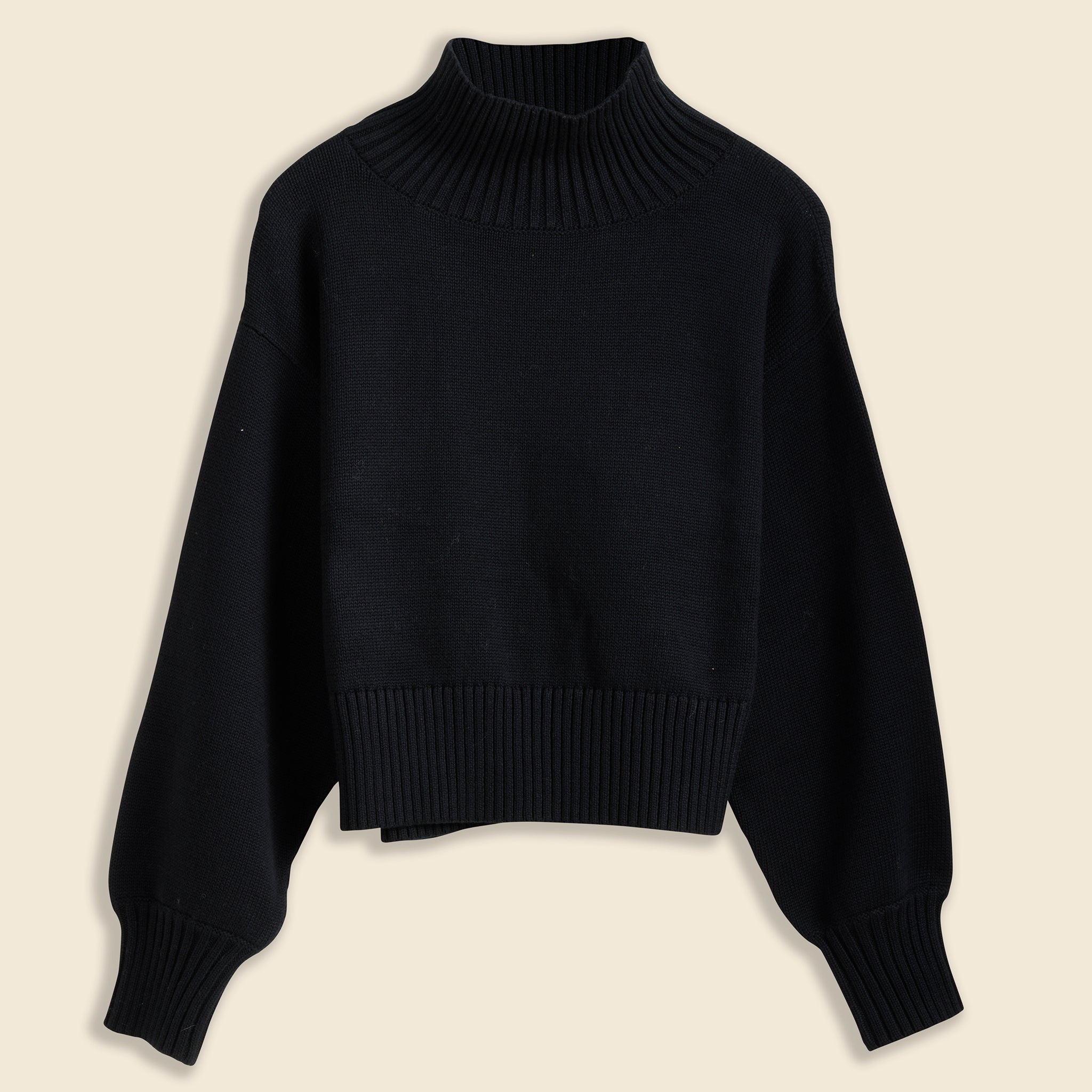 First Rite, Crop Turtleneck - Black